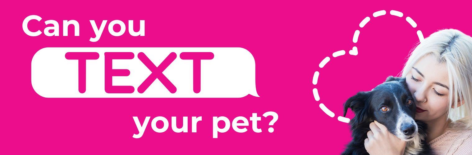 can you google your pet